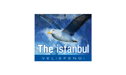 THE İSTANBUL VELİEFENDİ